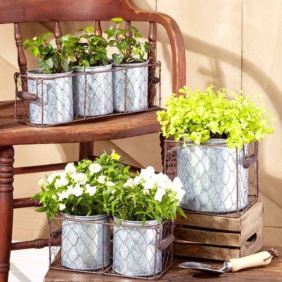 Galvanized Planter In Chicken Wire Basket-Single Planter - Picture 4 of 4